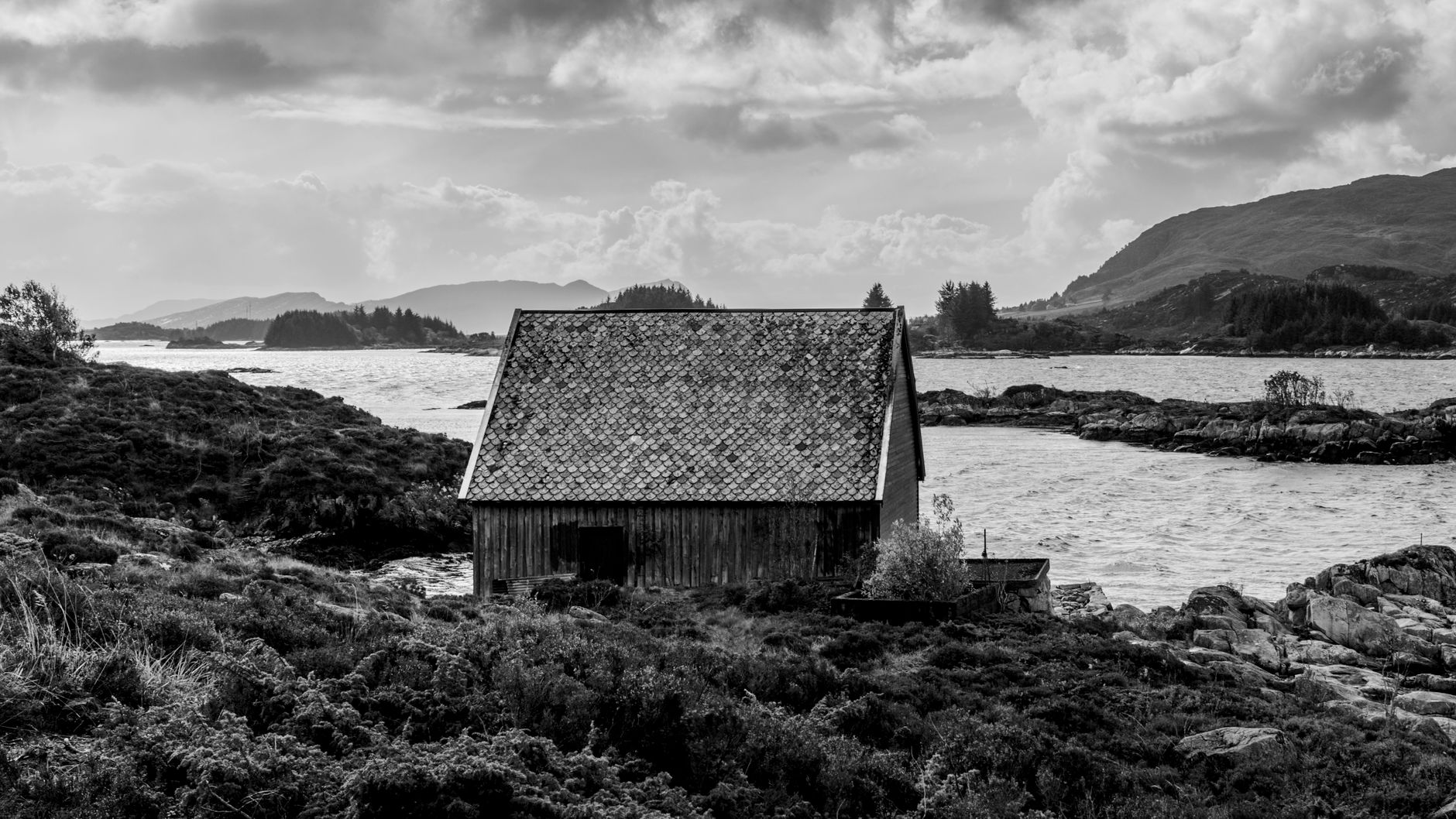Off-grid timber cabin overlooking mist-shrouded fjord